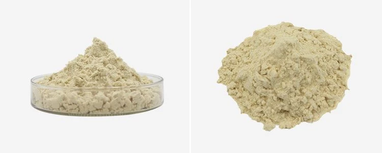 Bromelain Powder Bulk 2 Bromelain Powder Bulk 2