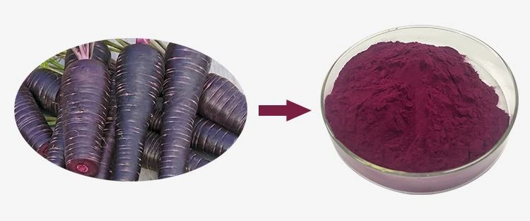 Black Carrot Juice Powder 1 Black Carrot Juice Powder 1