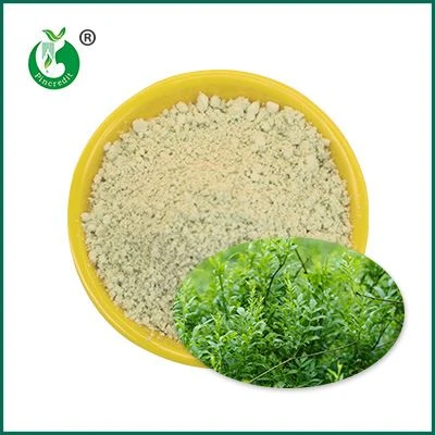 Dihydromyricetin duft