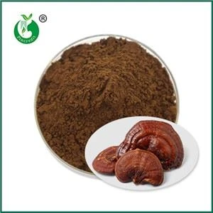 Áhrif og frábendingar af Ganoderma Spore Powder