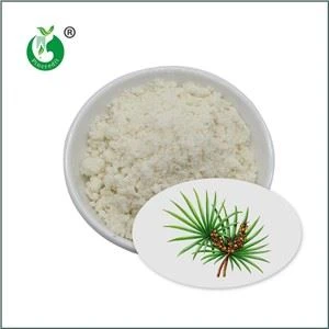 Sá Palmetto Útdráttarduft