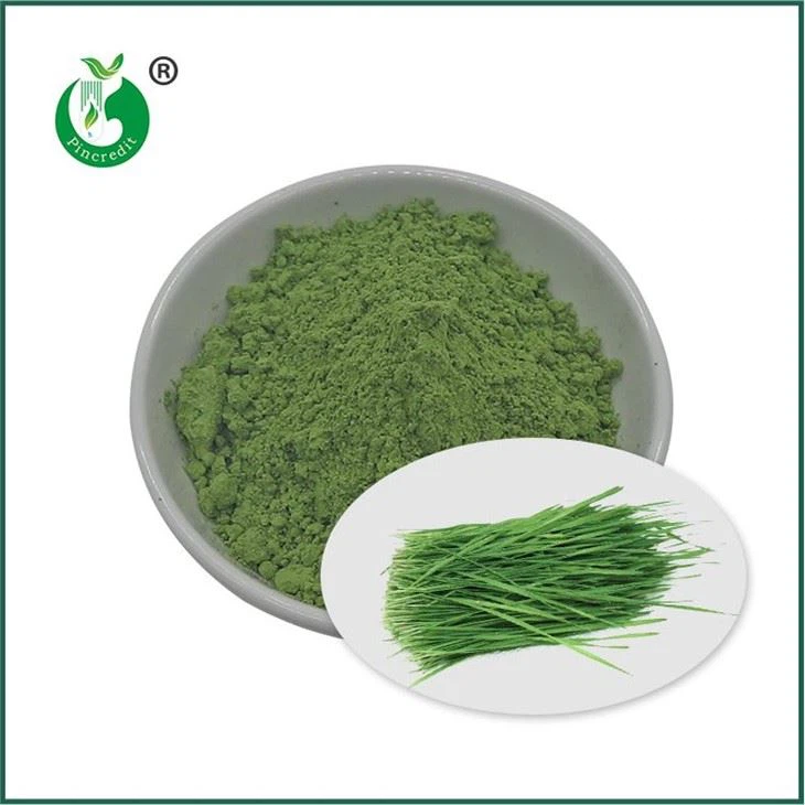 Hveitigrasduft