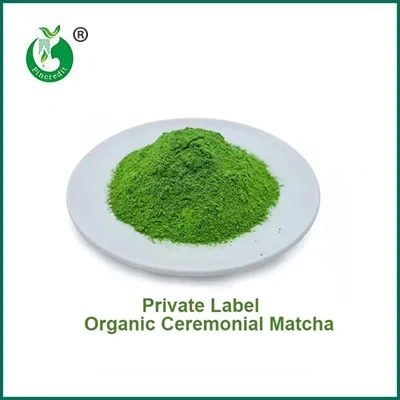 Hver er munurinn á Matcha dufti og grænt te dufti?