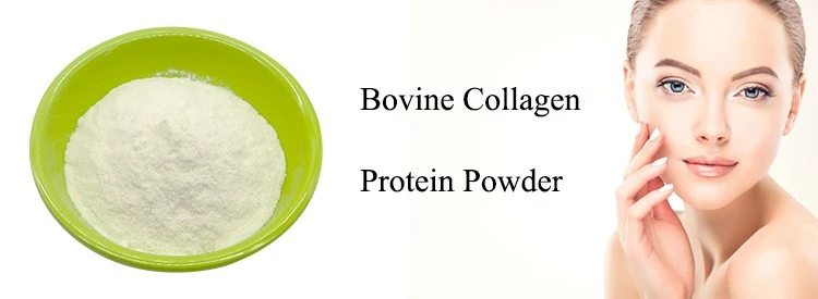 Bovine Collagen