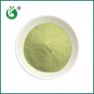 NÝ KOMA: Matcha Latte Powder