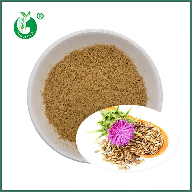 Milk Thistle Seed Extract Silymarin Silybins