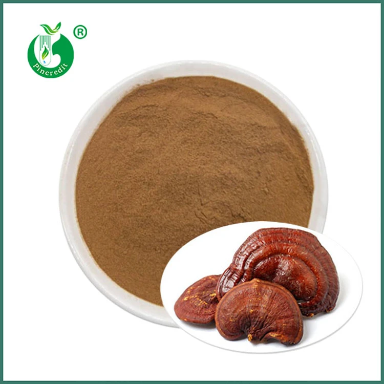 Reishi þykkni duft